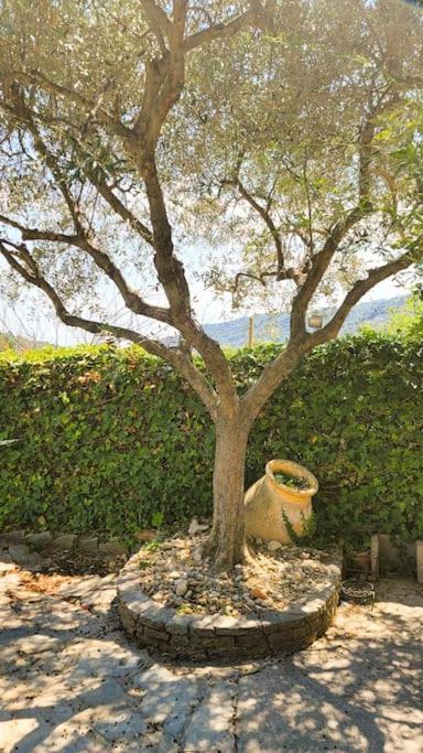La Stalla, Casa Rustica Nel Ranch Di Cavalli Camporosso  Exteriér fotografie
