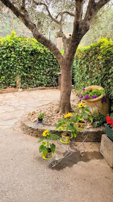 La Stalla, Casa Rustica Nel Ranch Di Cavalli Camporosso  Exteriér fotografie