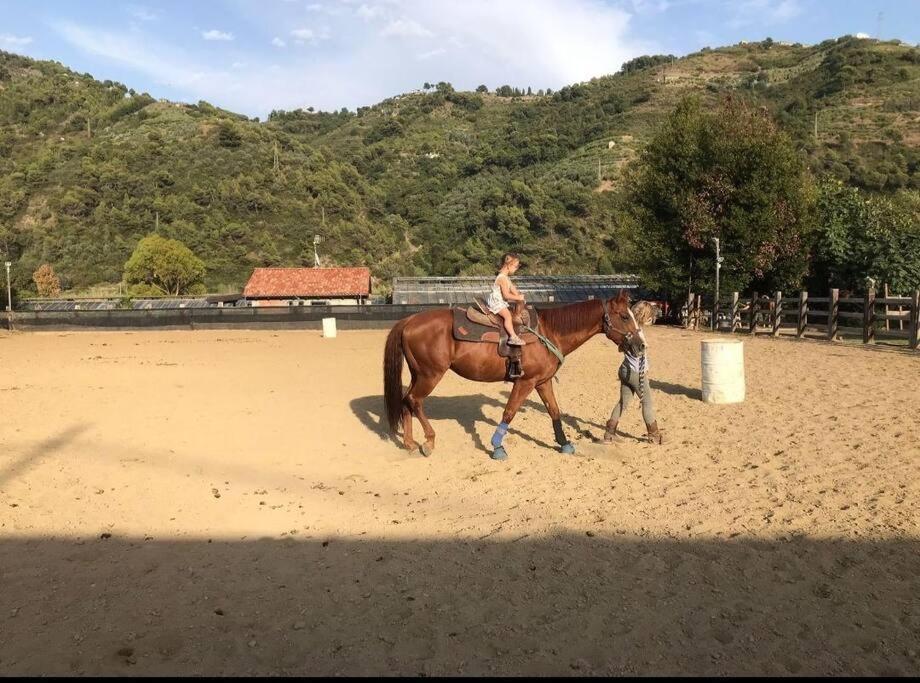 La Stalla, Casa Rustica Nel Ranch Di Cavalli Camporosso  Exteriér fotografie