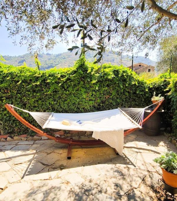 La Stalla, Casa Rustica Nel Ranch Di Cavalli Camporosso  Exteriér fotografie